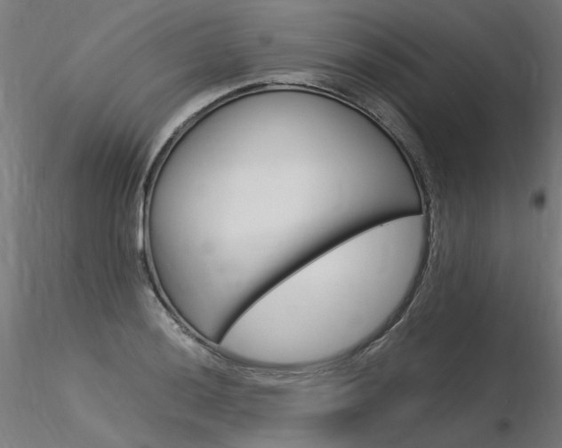 X0000116371036200912021005