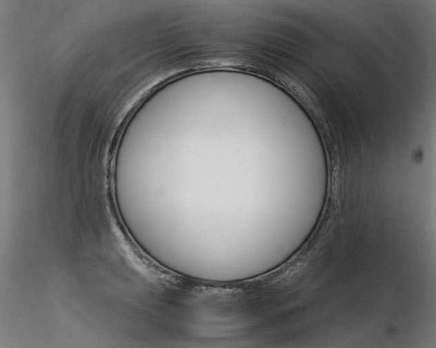X0000116371039200912021005