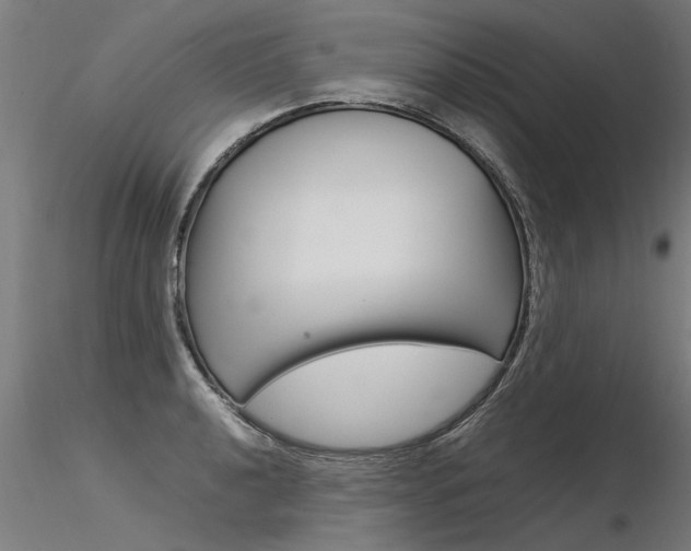 X0000116371040200912021005
