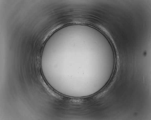 X0000116371041200912021005