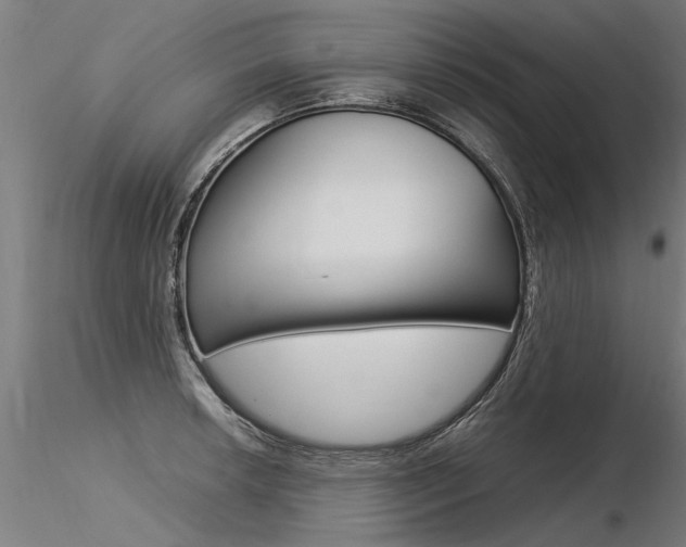 X0000116371042200912021005