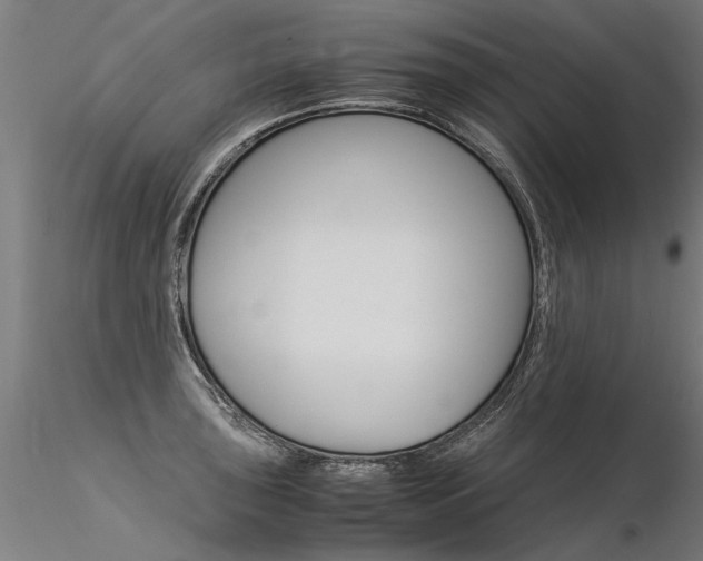 X0000116371043200912021005