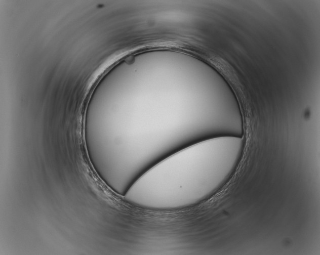 X0000116371044200912021005
