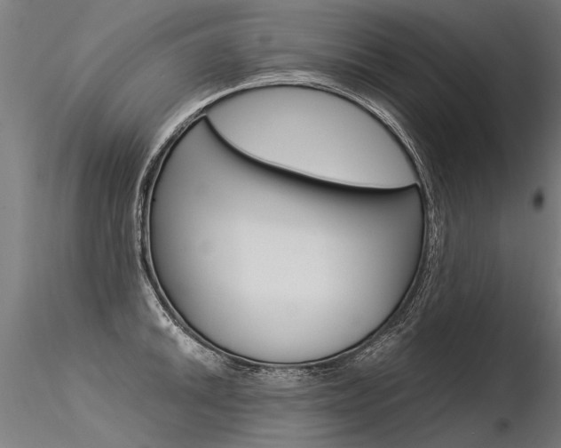 X0000116371046200912021005