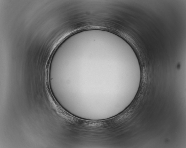 X0000116371047200912021005