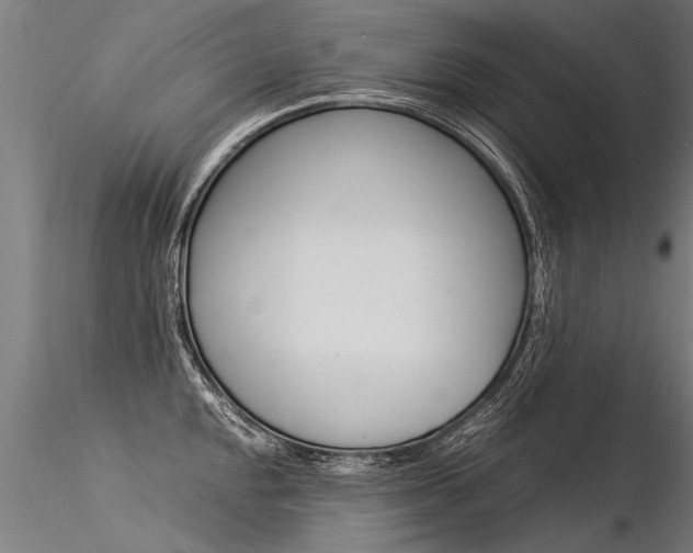 X0000116371048200912021005