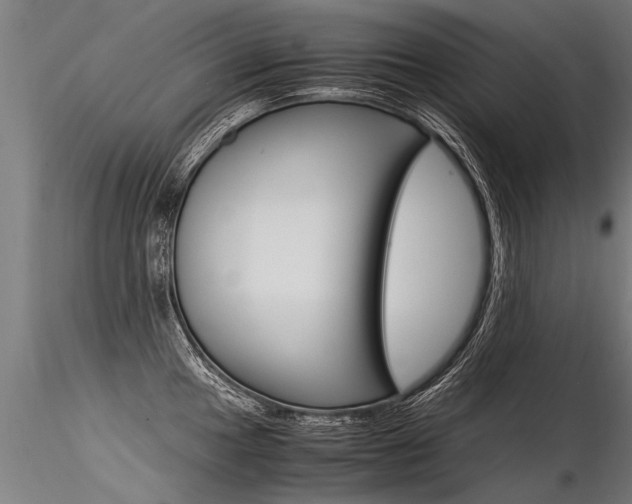 X0000116371049200912021005