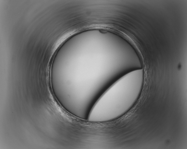 X0000116371050200912021005