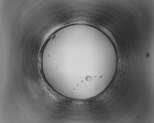 X0000116371051200912021005