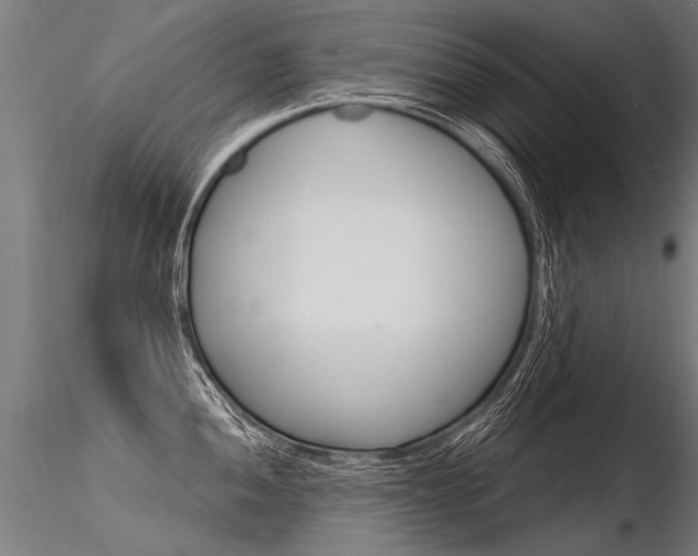 X0000116371052200912021005