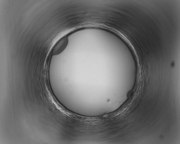 X0000116371053200912021005