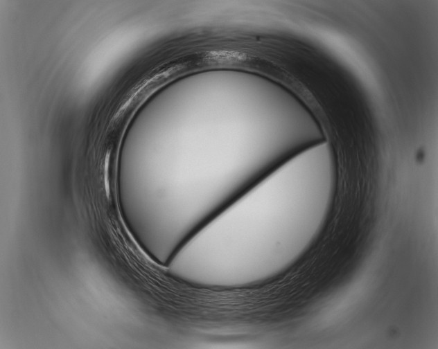 X0000116371054200912021005