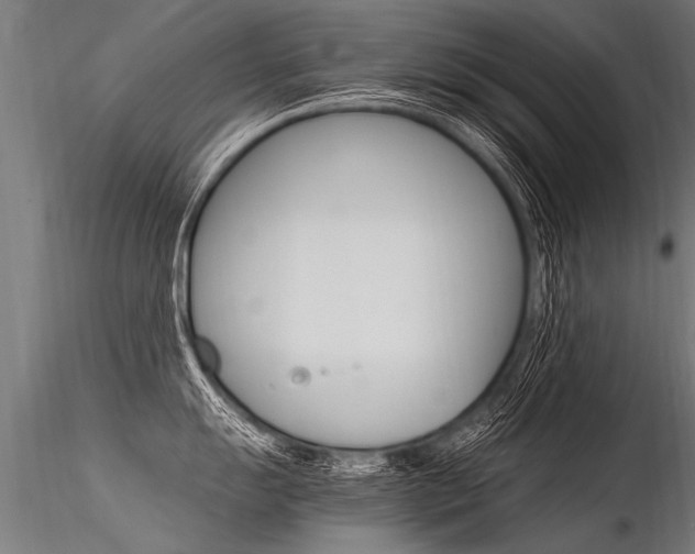 X0000116371055200912021005