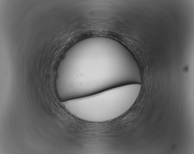 X0000116371057200912021004