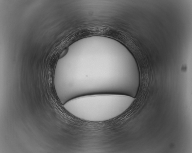 X0000116371058200912021004