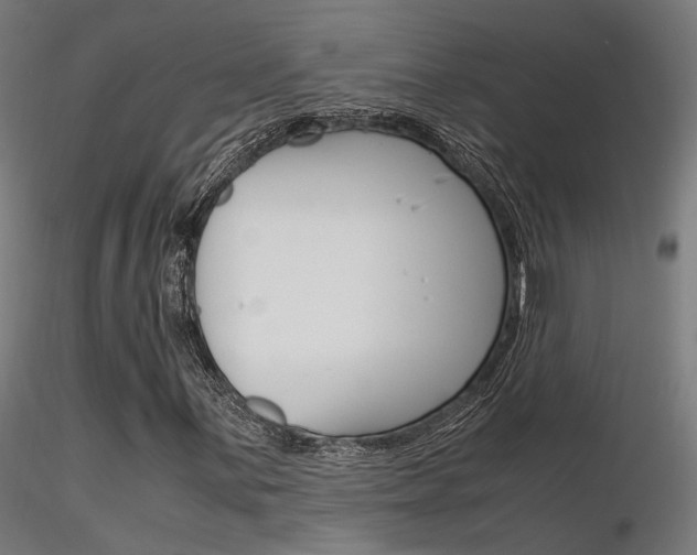 X0000116371059200912021004