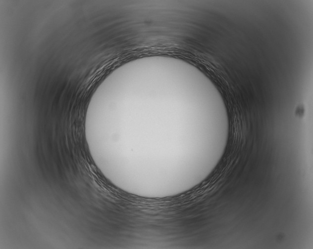 X0000116371060200912021004