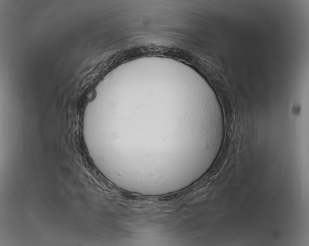 X0000116371061200912021004