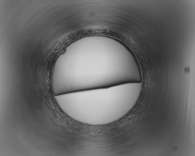 X0000116371062200912021004