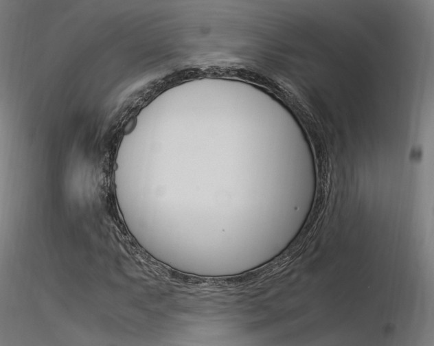 X0000116371063200912021004