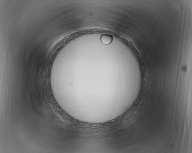 X0000116371064200912021004
