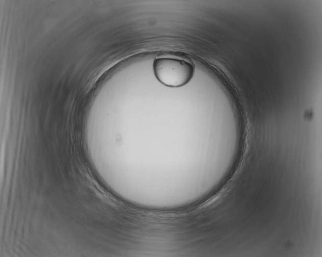 X0000116371065200912021004