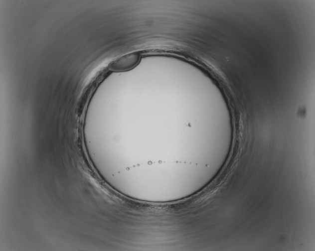 X0000116371067200912021004