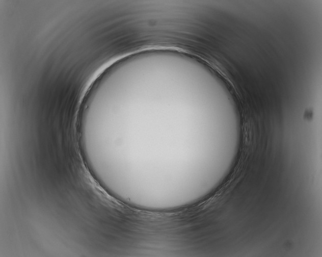 X0000116371068200912021004