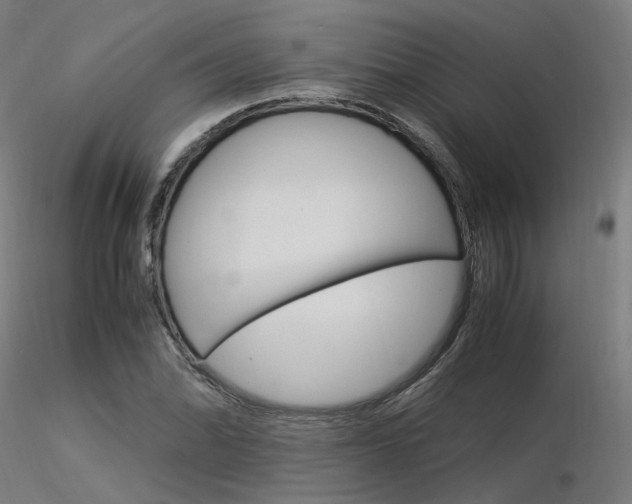 X0000116371070200912021004