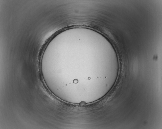 X0000116371071200912021004