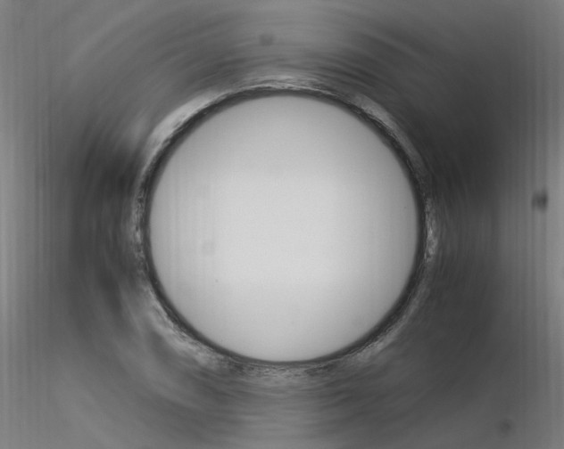 X0000116371074200912021004
