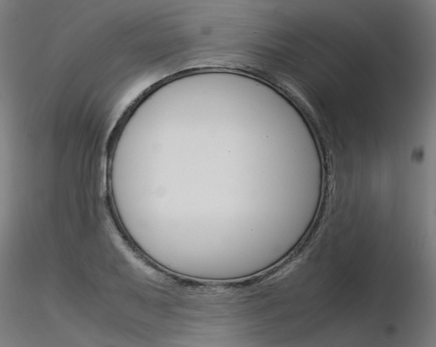 X0000116371079200912021004