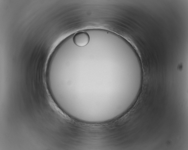X0000116371080200912021004