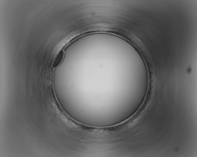 X0000116371081200912021004