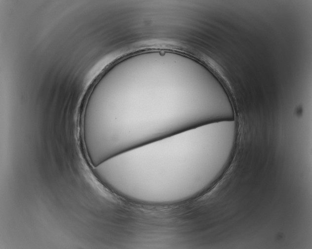 X0000116371082200912021004