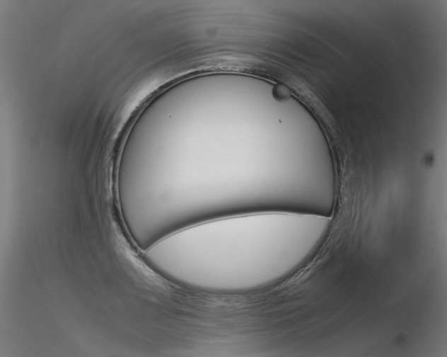 X0000116371083200912021004