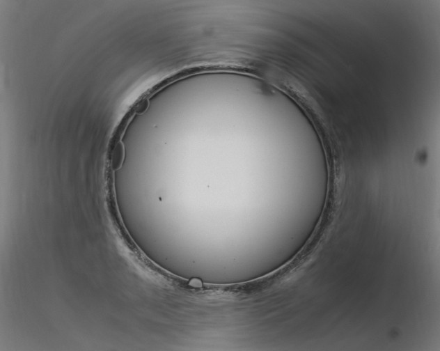 X0000116371085200912021004