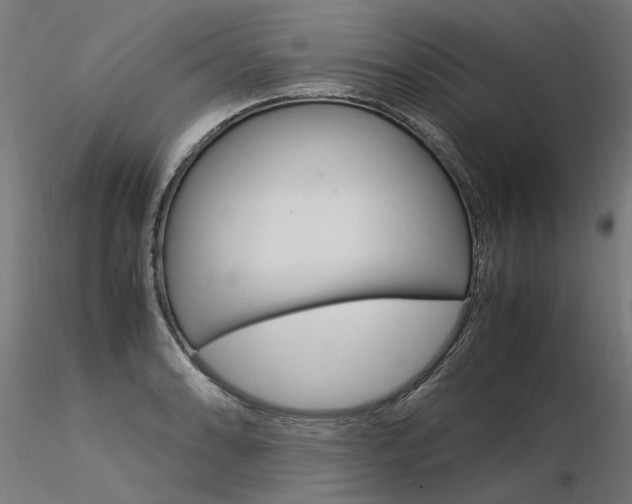 X0000116371086200912021004