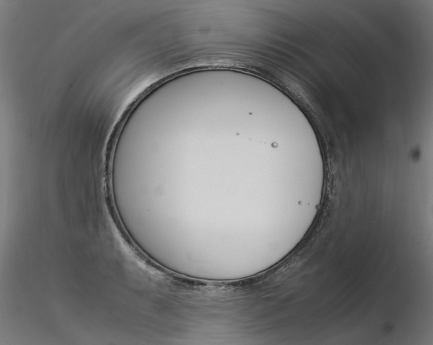 X0000116371087200912021004