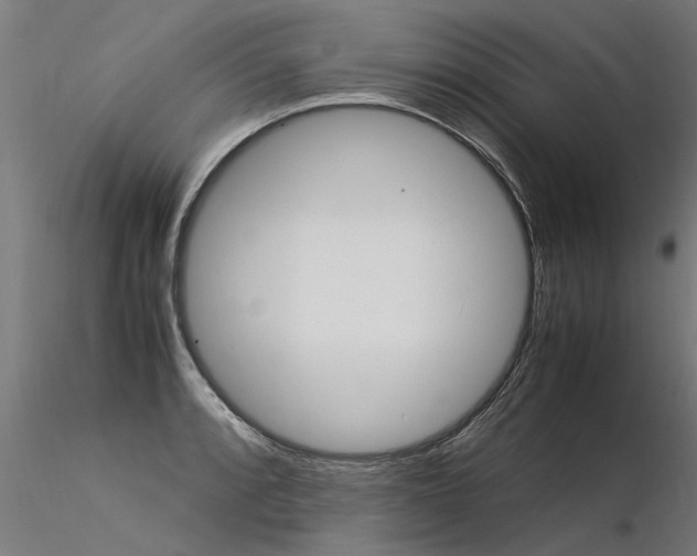 X0000116371088200912021004
