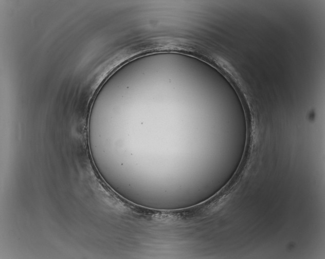 X0000116371089200912021004