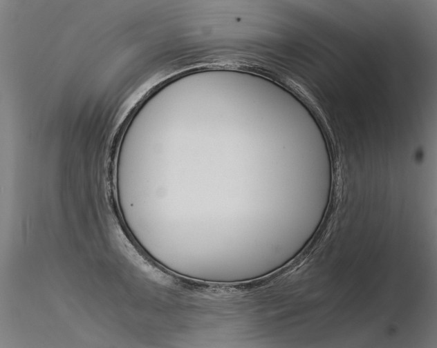 X0000116371091200912021004