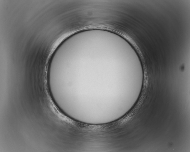 X0000116371094200912021004