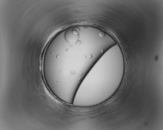 X0000116371095200912021004