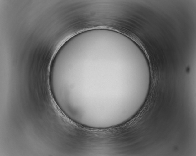 X0000116371096200912021004