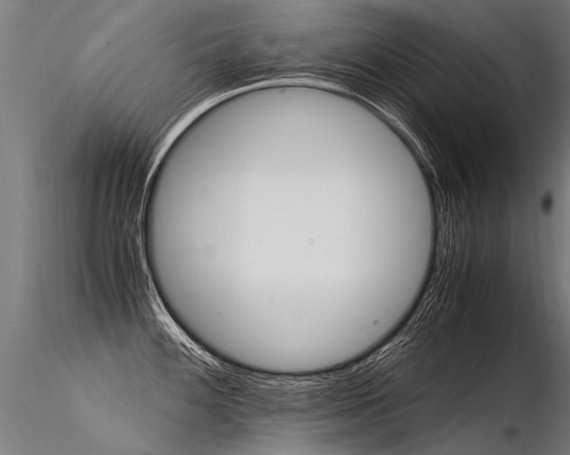 X0000116371100200912021004