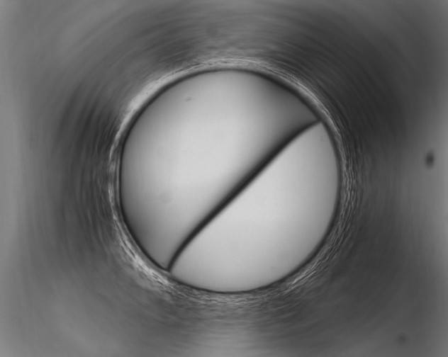 X0000116371102200912021004