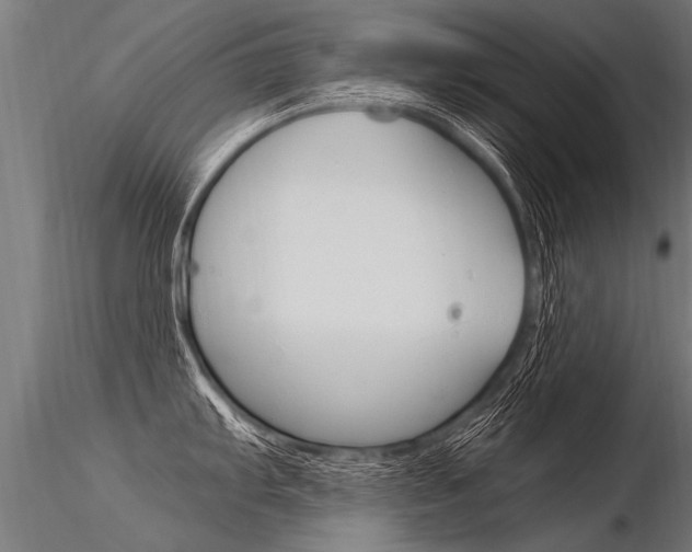 X0000116371103200912021004