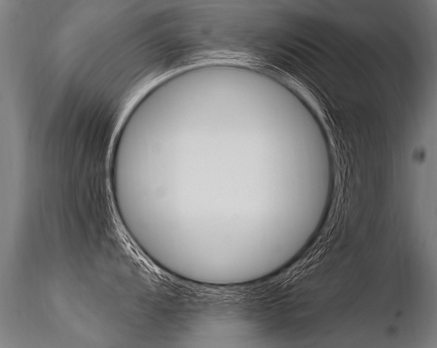 X0000116371104200912021004
