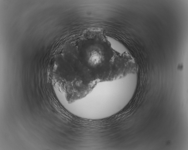 X0000116371106200912021003
